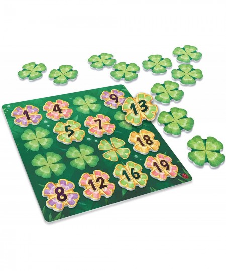 Lucky Numbers - Be First to Complete Your Garden 1 Rule - Numbers in Each Row & Each Column Must be Arranged in Ascending Ord...