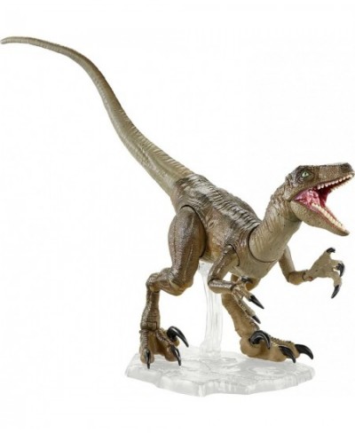 Amber Collection Velociraptor Dinosaur Figure Collectible Toy 6-in Scale Posable Joints Authentic Look & Stand for 8 Years Ol...