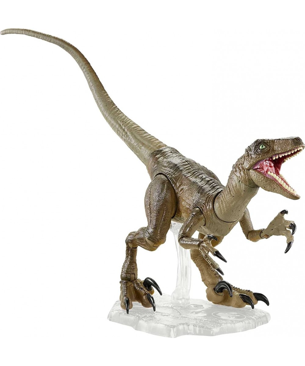 Amber Collection Velociraptor Dinosaur Figure Collectible Toy 6-in Scale Posable Joints Authentic Look & Stand for 8 Years Ol...