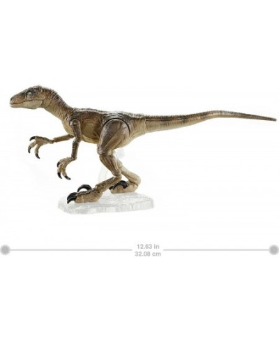 Amber Collection Velociraptor Dinosaur Figure Collectible Toy 6-in Scale Posable Joints Authentic Look & Stand for 8 Years Ol...