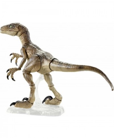 Amber Collection Velociraptor Dinosaur Figure Collectible Toy 6-in Scale Posable Joints Authentic Look & Stand for 8 Years Ol...