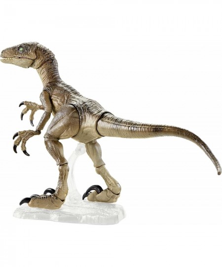 Amber Collection Velociraptor Dinosaur Figure Collectible Toy 6-in Scale Posable Joints Authentic Look & Stand for 8 Years Ol...