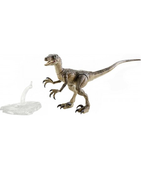 Amber Collection Velociraptor Dinosaur Figure Collectible Toy 6-in Scale Posable Joints Authentic Look & Stand for 8 Years Ol...