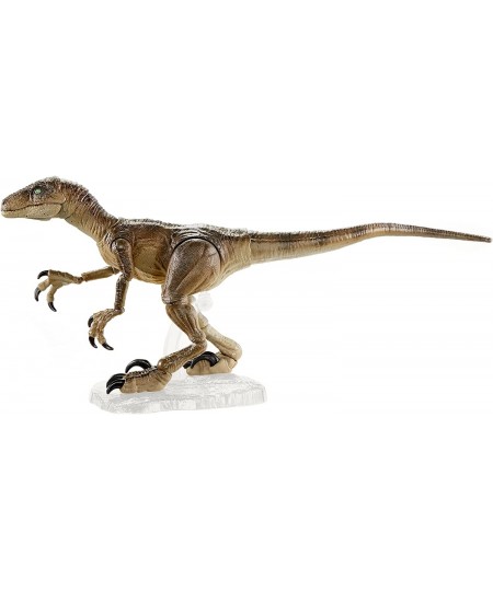 Amber Collection Velociraptor Dinosaur Figure Collectible Toy 6-in Scale Posable Joints Authentic Look & Stand for 8 Years Ol...