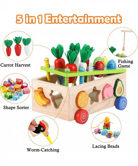 Toddler Wooden Educational Montessori Toys Baby Gifts for 2 3 4 Year Old Girls & Boys Fine Motor Skill Carrot Harvest & Shape...