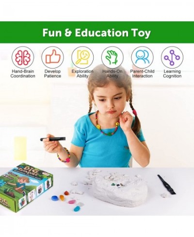 Gemstone Dig Kit Gem Crystals Digging Kit for Kids Educational DIY Toys STEM Science Kit-Dig Up 14 Gemstone Geology Archaeolo...