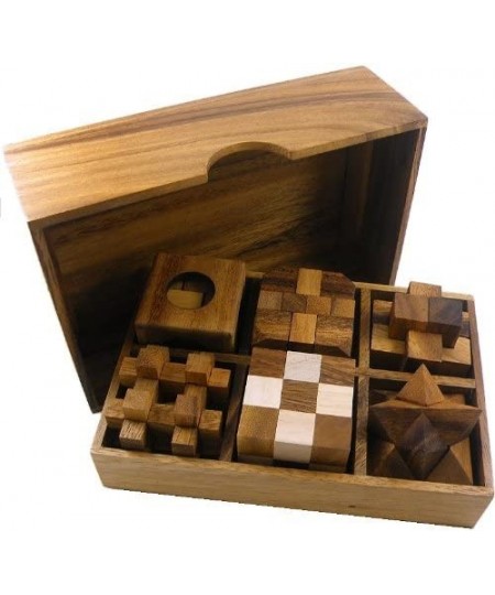 6 Wooden Puzzle Gift Set in A Wood Box - 3D Unique IQ Puzzles $48.84 - Brain Teaser Puzzles