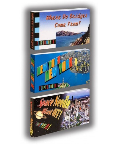 Landmarks of The U.S.A. New York San Francisco Seattle Flipbooks (3 Pack) $31.05 - Flying Toys