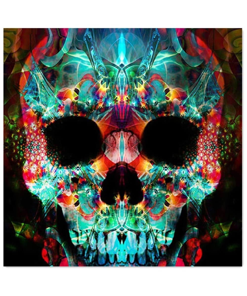 Full Drill 5d Diamond Painting Kits Cross Stitch Craft Kit New DIY Kits for Kids Adults Paint by Number Kits (Skull 25x25cm R...