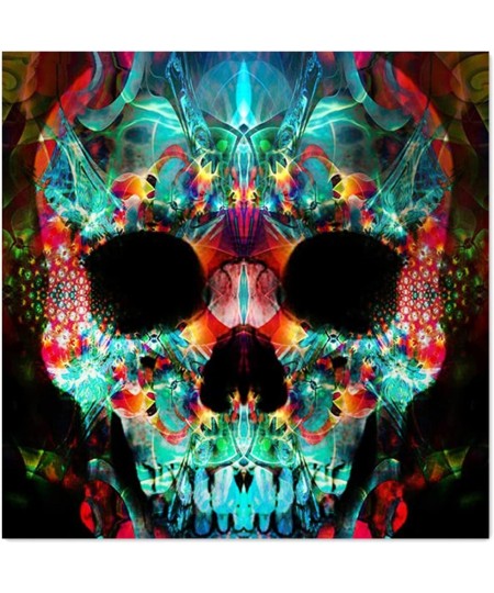 Full Drill 5d Diamond Painting Kits Cross Stitch Craft Kit New DIY Kits for Kids Adults Paint by Number Kits (Skull 25x25cm R...