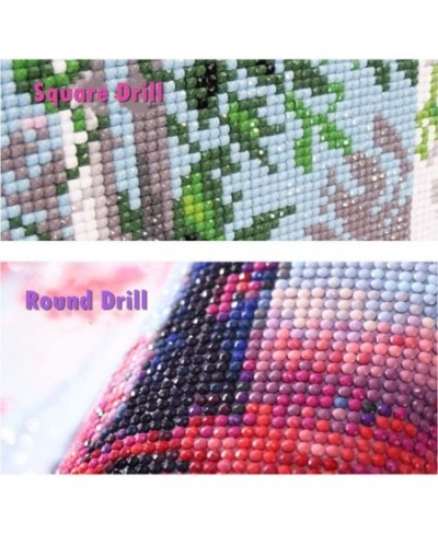 Full Drill 5d Diamond Painting Kits Cross Stitch Craft Kit New DIY Kits for Kids Adults Paint by Number Kits (Skull 25x25cm R...