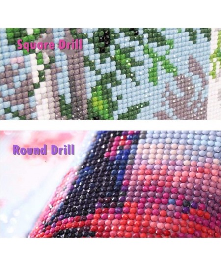 Full Drill 5d Diamond Painting Kits Cross Stitch Craft Kit New DIY Kits for Kids Adults Paint by Number Kits (Skull 25x25cm R...