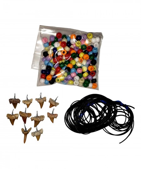 Make-Your-Own Fossil Shark Tooth Necklace Kits - Set of 10 - Great at Home Activity! $65.78 - Craft Kits