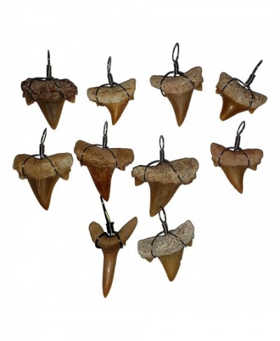 Make-Your-Own Fossil Shark Tooth Necklace Kits - Set of 10 - Great at Home Activity! $65.78 - Craft Kits