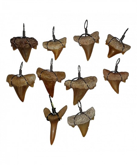 Make-Your-Own Fossil Shark Tooth Necklace Kits - Set of 10 - Great at Home Activity! $65.78 - Craft Kits