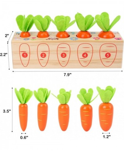 Montessori Toys for Toddlers 1-3 Carrots Shapes Sorting and Matching Game Wooden Toys Fine Motor Skill Early Learning Prescho...