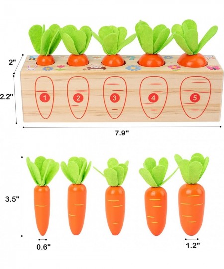 Montessori Toys for Toddlers 1-3 Carrots Shapes Sorting and Matching Game Wooden Toys Fine Motor Skill Early Learning Prescho...