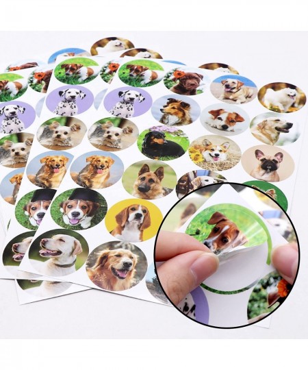 Cute Dog Puppy Stickers Dog Party Favors 480 Counts Adhesive Stickers for Kids Dog Birthday Party Supplies Gifts Goodie Bag E...