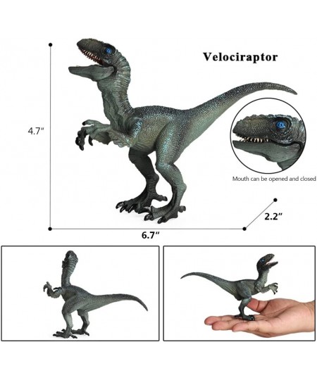 Dinosaur Toy Dilophosaurus & Velociraptor Realistic Educational Dinosaur Figures with Moveable Jaw Plastic Wildlife Animal Di...