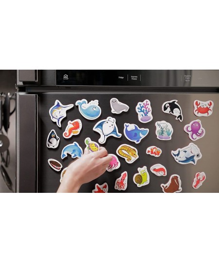 27 Foam Fridge Magnets for Toddlers 1-3 – Large Toddler Magnets – Fridge Magnets for Kids - Refrigerator Magnets for Kids – B...