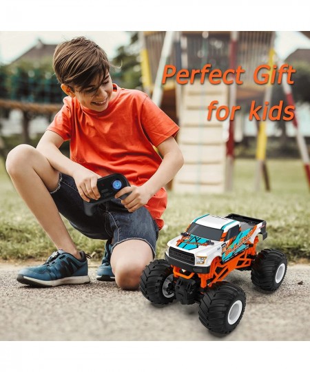 Remote Control Car 1:16 Scale Off Road RC Cars with 2.4 GHz Radio Controller Christmas / Birthday Gift Toys for 5+ Year Old B...