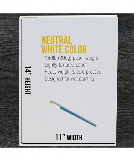 11" x 14" Premium Heavyweight Watercolor Painting Paper Pad Pack of 2 12 Sheets Each 140 Pound (300gsm) - Cold Pressed Acid-F...