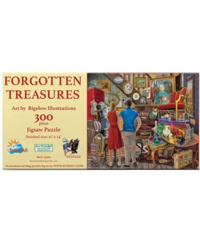 Forgotten Treasures 300 pc Jigsaw Puzzle $31.08 - Jigsaw Puzzles