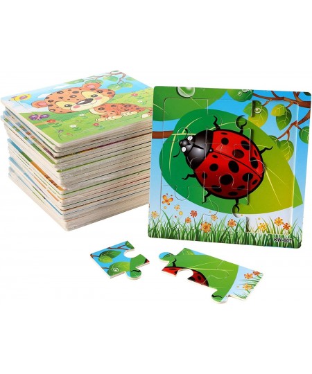 24 Pack Wooden Puzzles for Kids Mini Jigsaw Animal Puzzles Set for Kids Boys Girls Early Preschool Educational Toys 20 Animal...