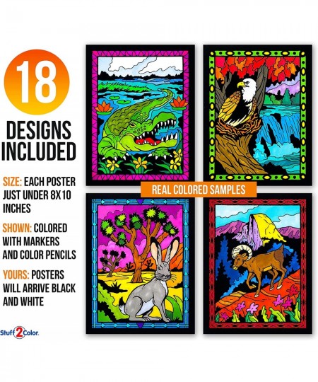 Super Pack of 18 Fuzzy Velvet Coloring Posters (National Parks Edition) - Great for Family Time Arts & Crafts Travel at Home ...