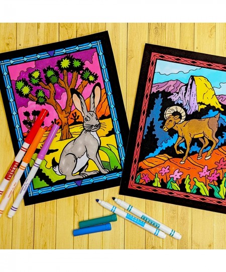 Super Pack of 18 Fuzzy Velvet Coloring Posters (National Parks Edition) - Great for Family Time Arts & Crafts Travel at Home ...