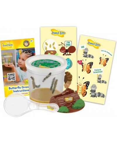 Live Cup of Caterpillars with Dual Lens Magnifier $32.64 - Habitat Science Kits