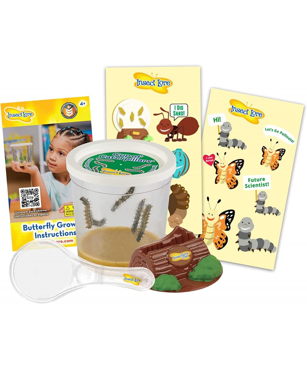 Live Cup of Caterpillars with Dual Lens Magnifier $32.64 - Habitat Science Kits