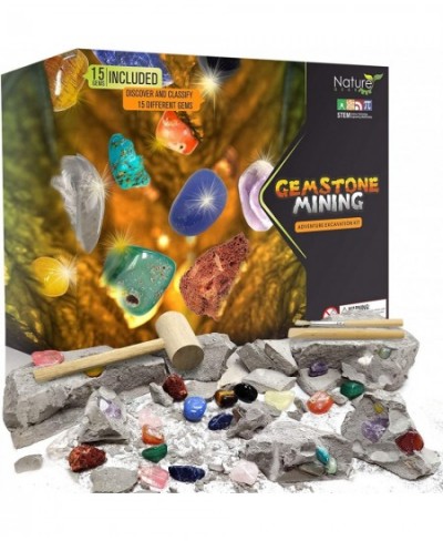 Gemstone Mining Gem Digging Kit for Kids - Gemstone Dig Kit - Discover 15 Precious Gemstones. Gem Mining Kit Adventure. Scien...