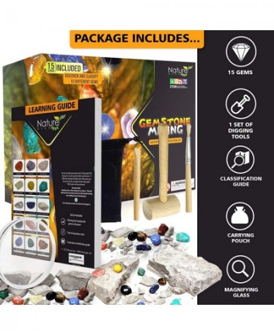 Gemstone Mining Gem Digging Kit for Kids - Gemstone Dig Kit - Discover 15 Precious Gemstones. Gem Mining Kit Adventure. Scien...