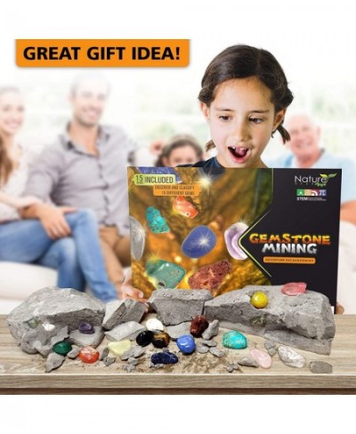 Gemstone Mining Gem Digging Kit for Kids - Gemstone Dig Kit - Discover 15 Precious Gemstones. Gem Mining Kit Adventure. Scien...