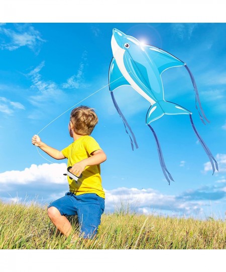 Kite for Kids and Adults Easy to Fly and Assemble with 50 Meters Kite String Large Easy Flyer 51"x45" with 8 Long Tails Begin...