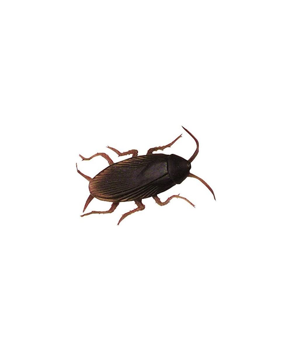 Fake Jumbo Cockroach by BWacky $16.17 - Gags & Practical Joke Toys