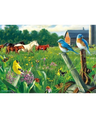 Hautman Brothers - Country Meadow - 300 Large Piece Jigsaw Puzzle $17.43 - Jigsaw Puzzles