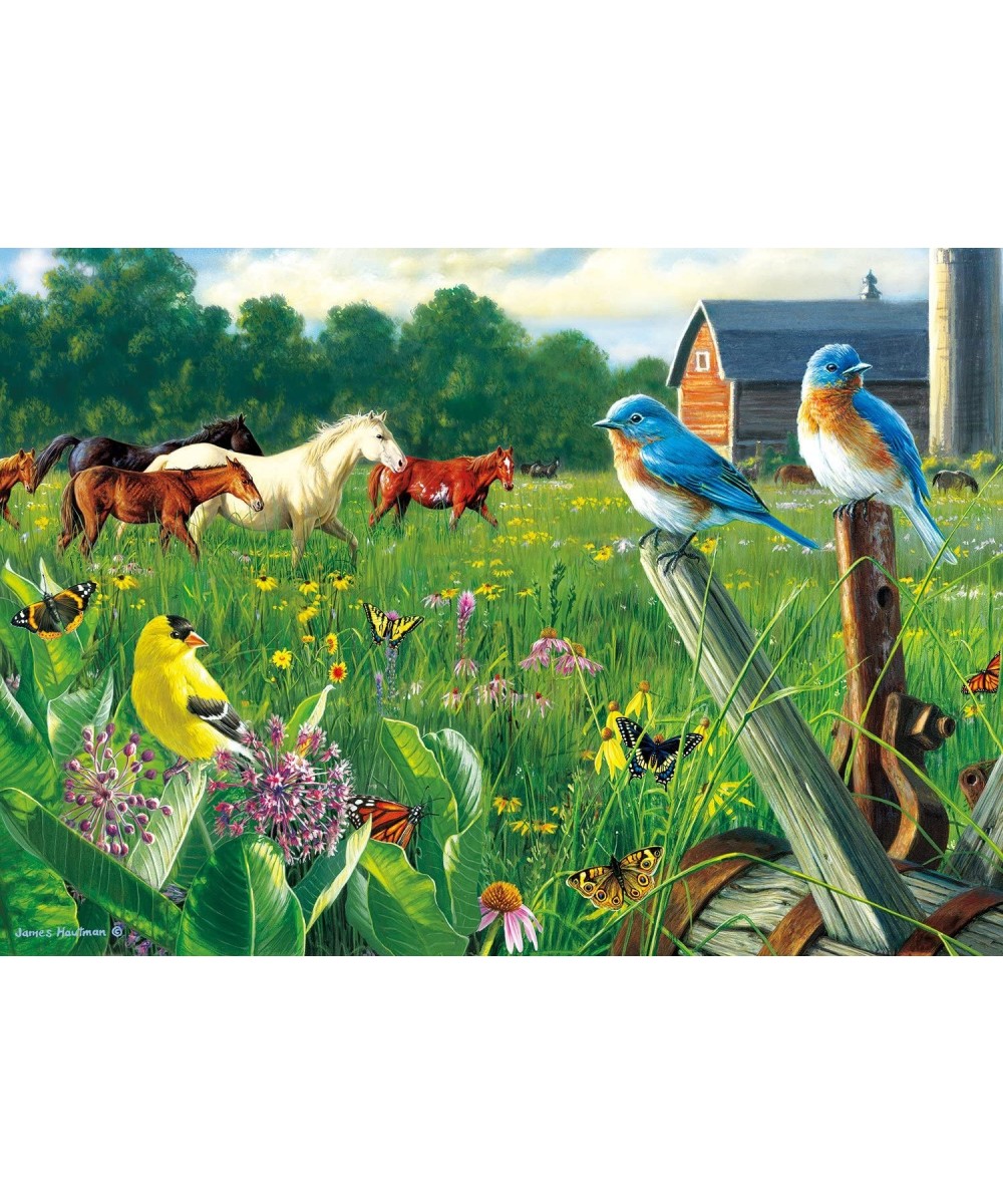 Hautman Brothers - Country Meadow - 300 Large Piece Jigsaw Puzzle $17.43 - Jigsaw Puzzles