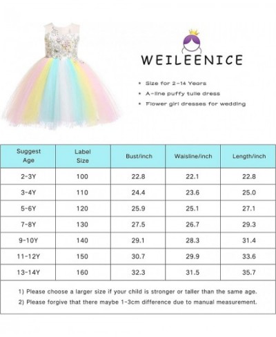 Christmas Girls Flower Dress Lace Rainbow Tulle 3D Embroidery Beading Princess Pageant Wedding Party Dresses $61.08 - Kids' C...