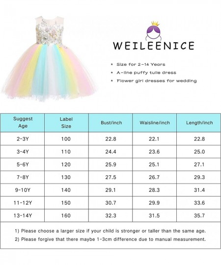 Christmas Girls Flower Dress Lace Rainbow Tulle 3D Embroidery Beading Princess Pageant Wedding Party Dresses $61.08 - Kids' C...