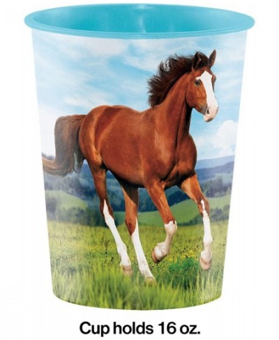 Wild Horse 16 oz Plastic Cups 8 ct $17.00 - Kids' Party Tableware