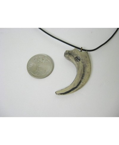 Sauronitholestes Dinosaur Claw Pendant Necklace (344-5) $43.83 - Early Development & Activity Toys