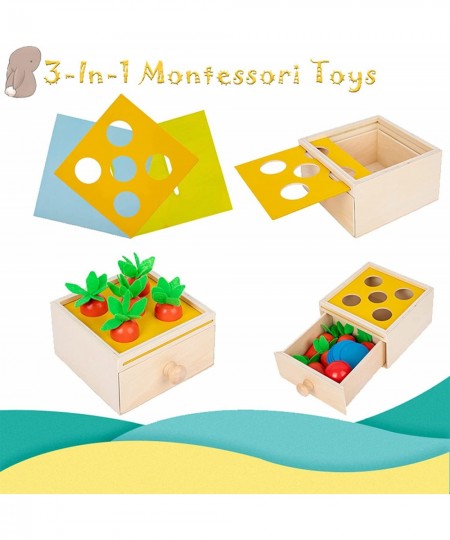 3 in 1 Montessori Toys for 1 Year Old Includes Object Permanence Box Montessori Coin Box Carrot Harvest Game-Montessori Toys ...