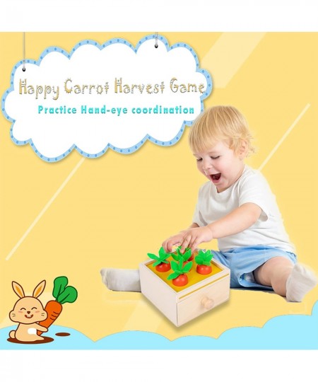 3 in 1 Montessori Toys for 1 Year Old Includes Object Permanence Box Montessori Coin Box Carrot Harvest Game-Montessori Toys ...