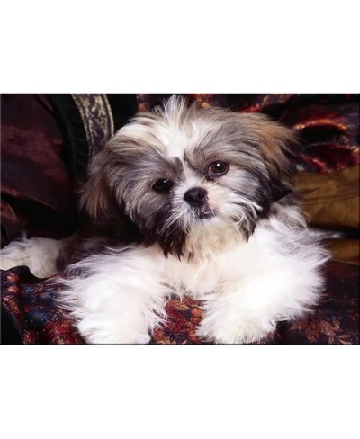 Jigsaw Puzzles for Adults Puzzle-Shih Tzu Pet Dog-300 Piece Jigsaw Puzzles Props for Adolescent Children Educational Game Toy...