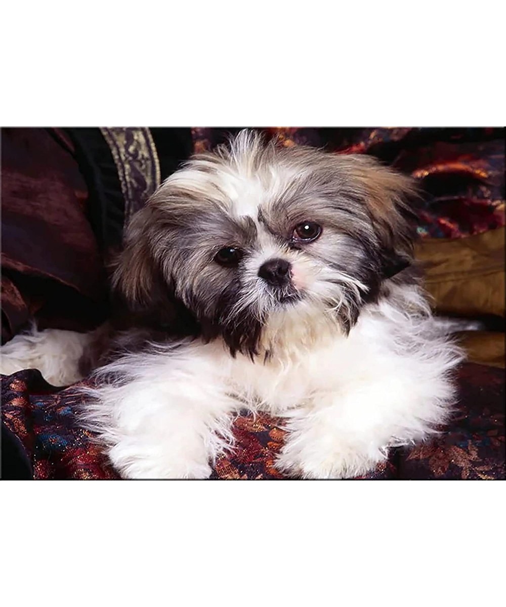 Jigsaw Puzzles for Adults Puzzle-Shih Tzu Pet Dog-300 Piece Jigsaw Puzzles Props for Adolescent Children Educational Game Toy...