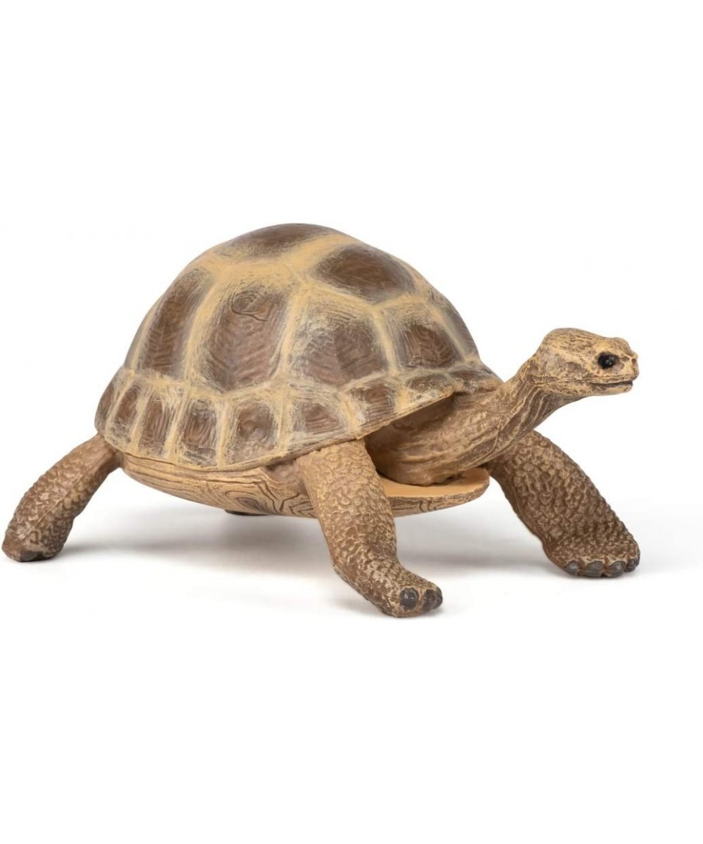 hand-painted - figurine -Wild animal kingdom - Hermann's Tortoise -50264 -Collectible - For Children - Suitable for Boys and ...