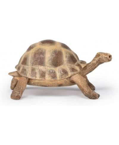 hand-painted - figurine -Wild animal kingdom - Hermann's Tortoise -50264 -Collectible - For Children - Suitable for Boys and ...