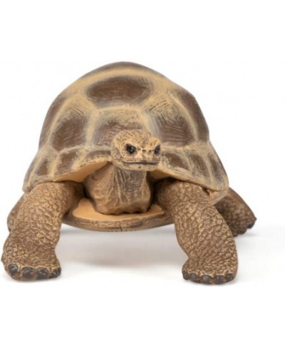 hand-painted - figurine -Wild animal kingdom - Hermann's Tortoise -50264 -Collectible - For Children - Suitable for Boys and ...